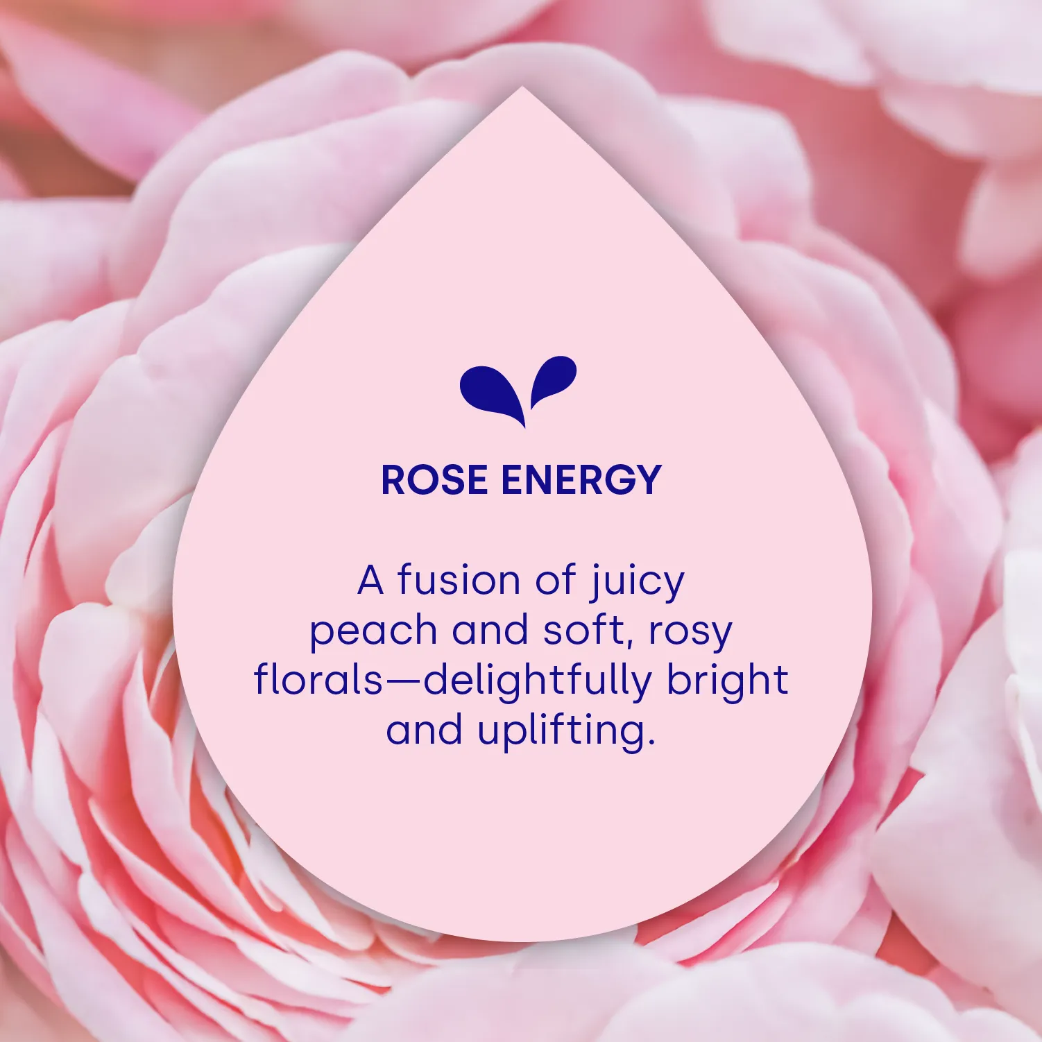 Activewear Laundry Detergent Pods, Rose Energy