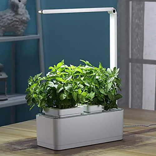 FDYD Smart Indoor Garden Hydroponic Indoor Herb Garden Kit - Multispectrum LED Desktop Growing Lamp