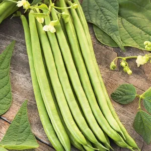 Mr Fothergill's Climbing French Bean Python Seeds