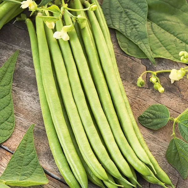 Mr Fothergill's Climbing French Bean Python Seeds