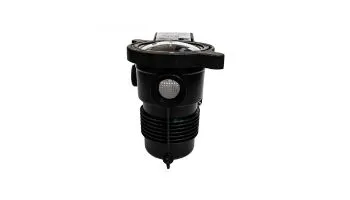Pentair OptiFlo 1HP Horizontal Above Ground Pool Pump with 3' Standard Cord 115V