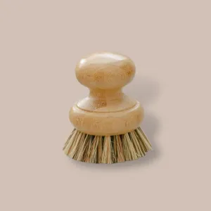Pot Scrubber Brush
