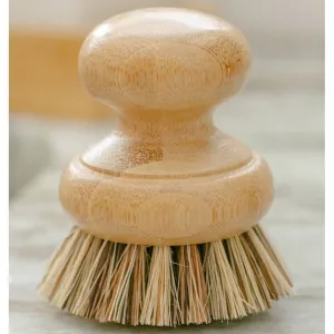 Pot Scrubber Brush