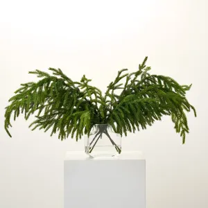 Real Touch Norfolk Draped Stems in Modern Factice Vase Winter Water Illusion Arrangement