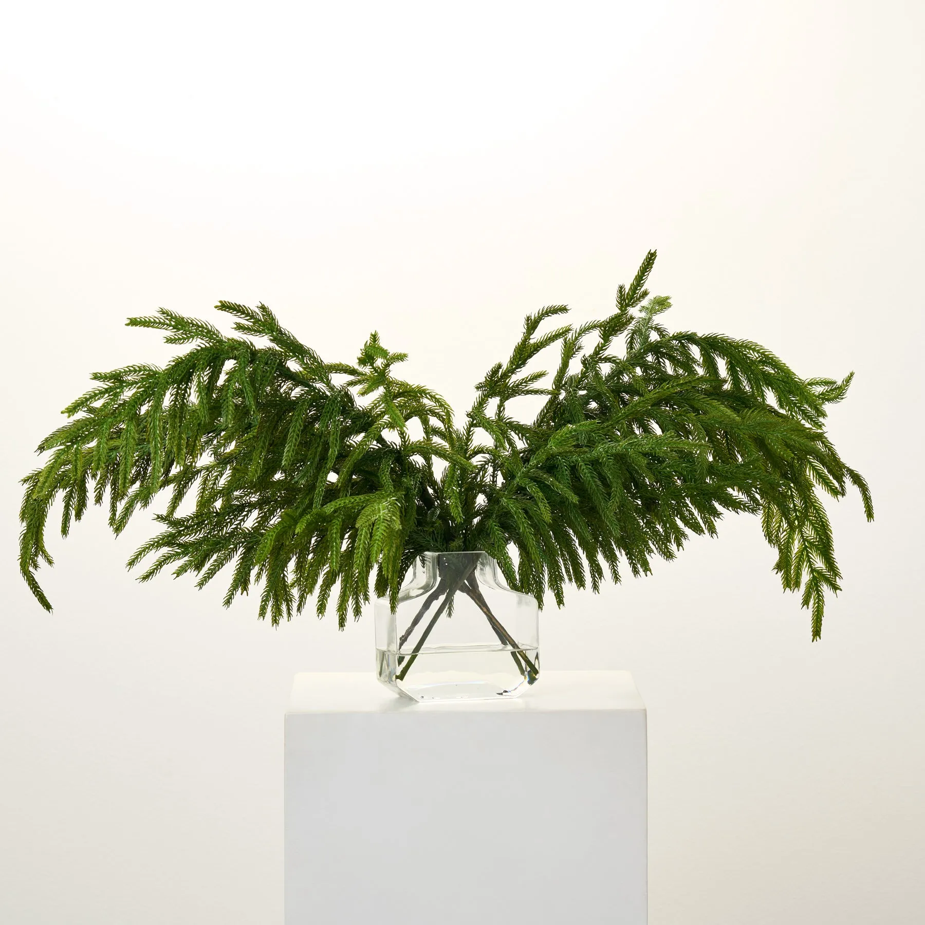 Real Touch Norfolk Draped Stems in Modern Factice Vase Winter Water Illusion Arrangement