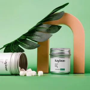 Toothpaste Tablets- Fluoride-Free Mint Tin